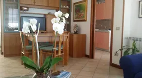 B&B Benjamin - Image 2