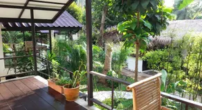 Lucky Gecko Garden - Image 2