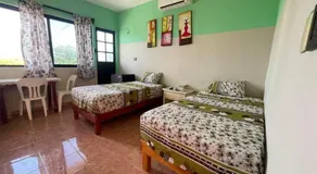 El Ultimo Maya - Image 2