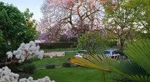 Le colombier Vichy - Image 4