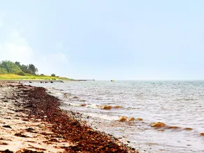 Seaside Bliss with Sauna - By Traum Ferienwohnungen - Image 4
