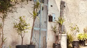 Sicily Summer - Image 2