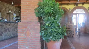 Hostal Campoabierto - Image 5