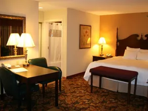 HAMPTON INN & SUITES DEL RIO, TX - Image 2