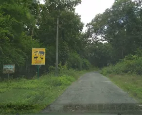 Forest View Homestay ,Your 2nd home away from City - Image 3