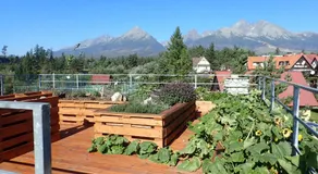 Family House - Apartmany Zuzana - Image 4