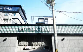 Changwon Jinhae Olive - Image 4