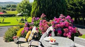 Hillcrest farmhouse Bed & Breakfast - Image 3