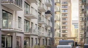 Nordic Gem - Image 5