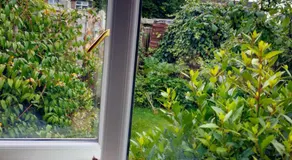 The Garden Room - Image 3