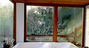 Havilá Arara Azul - Image 5