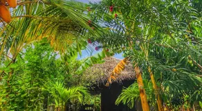 Richards Cabanas - Image 4