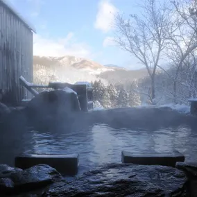 Kurokawa Onsen Iyashi no Sato Kiyashiki - Image 5
