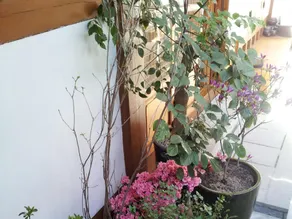 Han Hanok Guesthouse - Image 5