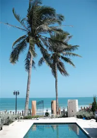Bonz By The Sea - Image 4