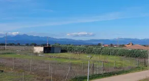 San Matías - Image 5