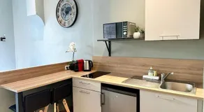 71 Lacassagne 2 - Studio - Partdieu - Image 4