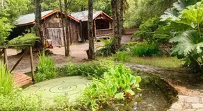 Pucón Magic forest - Image 5