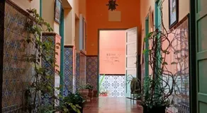 Suerte Loca - Image 3