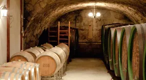 Weingut & Gästehaus Dombi Weiss - Image 3