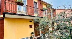 L'OLIVO DI EVELINA - Image 3