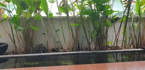 MyDream Guest House - Image 5
