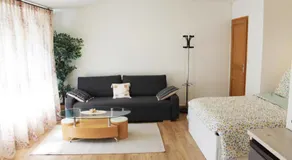 Saint Etienne : appartement Châteaucreux 40 M2 - Image 3
