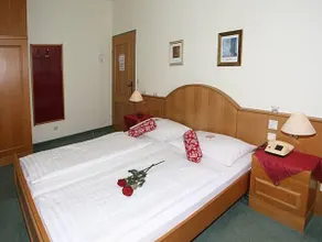 Hotel Pension Alte Mühle - Image 2