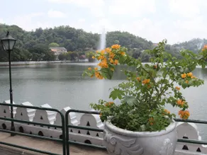 Peradeni Rest Inn - Image 3