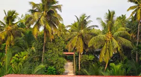 The Sulbha Beach Resort - Image 3