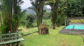 Sinharaja Cottage - Image 4
