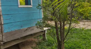 Chalé do Gaia - Image 5