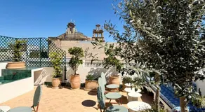 Alameda Grand Luxury - Image 2