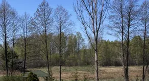 Słoneczny Set - Image 4