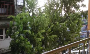 Hotel IRIS Inn - Image 4