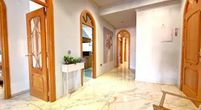 Magnifico Gandia - Image 3