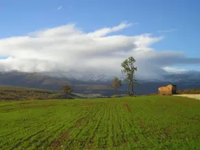 Molino De La Ferrería - Image 3