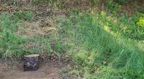 Căsuța de la luncă - Image 3