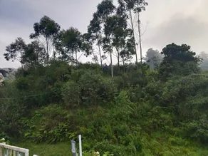 Pavithra Home stay munnar - Image 3