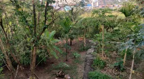 Gulmohar Cottages - Home Stay in Alibag - Image 3
