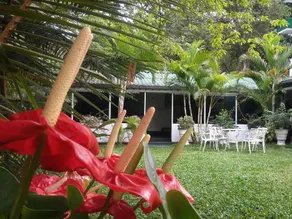 Lievis Tourist Homestay - Anuradhapura - Image 4