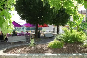 Hotel Restaurant Rome - Image 4