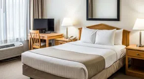 Hotel The Luxury F S Bliss Most Premium Rooms - Image 2