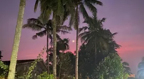 1 bed peaceful studio Apartment near Colva beach - Image 4