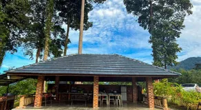 Jebat D'Manggis Janda Baik - Mountain View - Image 5