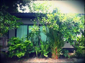 Paanpuanplace Resort - Image 4