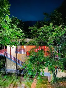 Sinharaja Eco Lodge - Image 2