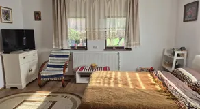 Balada Copilăriei Ciprian Porumbescu - Image 2