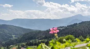 Haughof Apartement Blumenwiese - Image 4