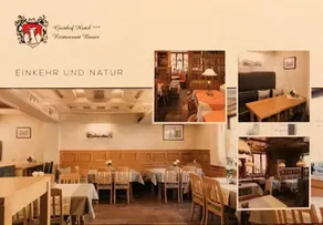 Gasthof Hotel Bauer - Image 4